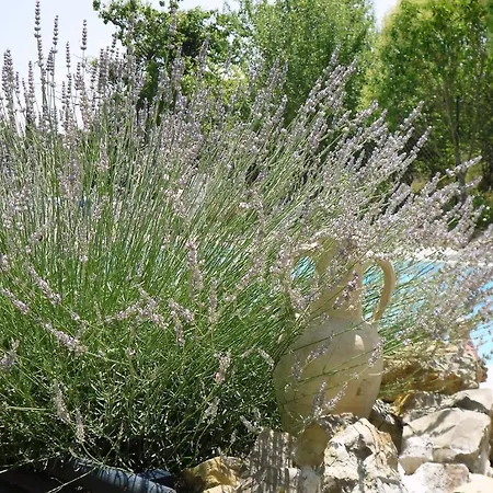 La Passiflore D'hote Saint-Paul-le-Jeune